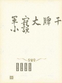 军宠大牌千金 小说