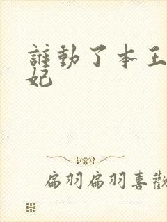 谁动了本王的悍妃