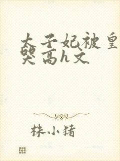 太子妃被皇上c哭高h文