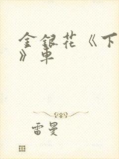 金银花《下厨房》车