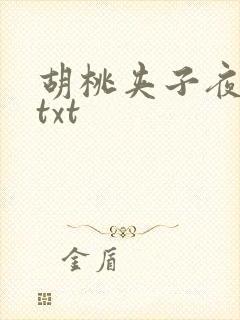 胡桃夹子夜未眠txt