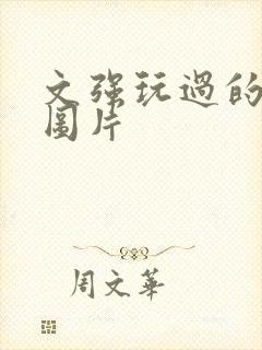 文强玩过的女人图片