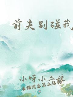 前夫别碰我