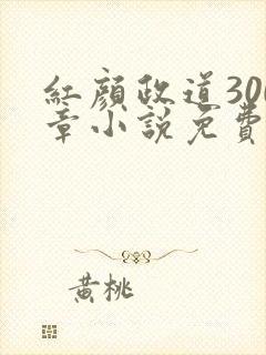 红颜政道300章小说免费阅读