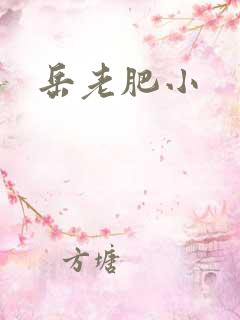 岳老肥小