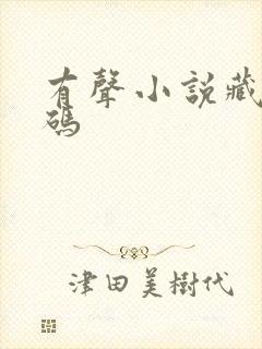 有声小说藏地密码