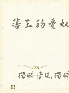 藩王的爱奴