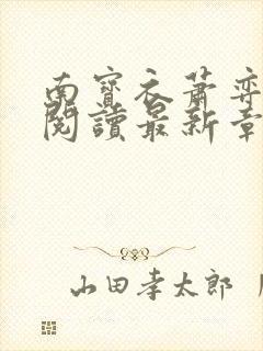 南宝衣萧弈免费阅读最新章节