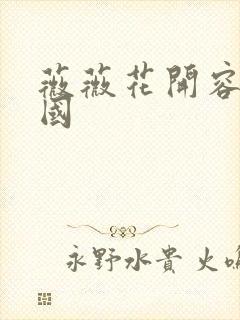 薇薇花开容颜倾国