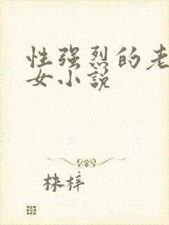 性强烈的老年妇女小说