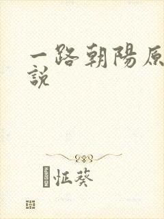 一路朝阳原著小说