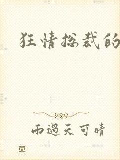 狂情总裁的囚妻