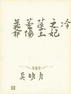 并蒂莲之冷酷王爷伤王妃