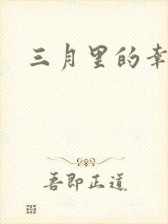 三月里的幸福饼