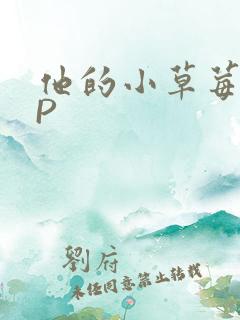 他的小草莓POP