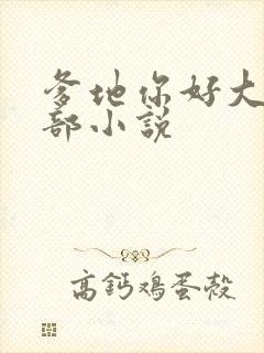 爹地你好大第二部小说