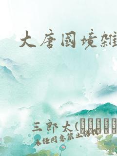 大唐国境杂货店