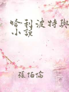 哈利波特与密室小说