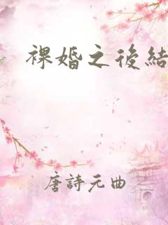 裸婚之后结局