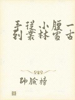 手从小腹一路开到丛林处古代