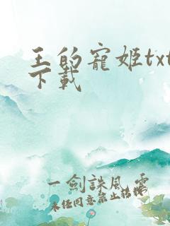 王的宠姬txt下载