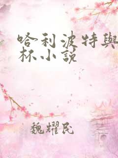 哈利波特与火焰杯小说