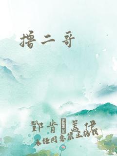 撸二哥