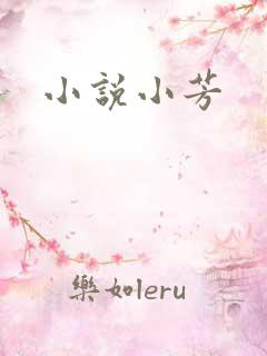 小说小芳
