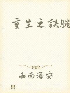 重生之铁腕大亨