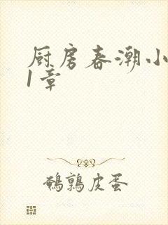 厨房春潮小说第1章