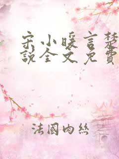 宋小暖言楚行小说全文免费阅读