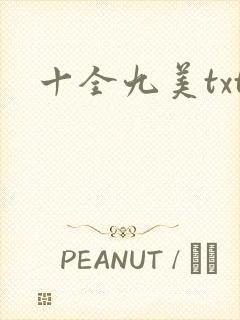 十全九美txt