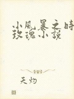 小风暴之时间的玫瑰小说