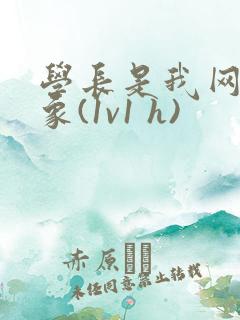 学长是我网恋对象(1v1 h)