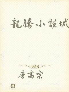 龙腾小说城