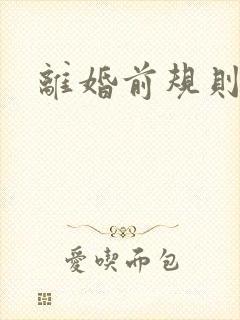 离婚前规则小说