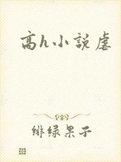 高h小说虐