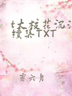 t大校花沉浮录续集TXT