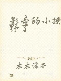 影帝的小撩精太野了