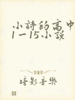 小诗的高中日记1一15小说