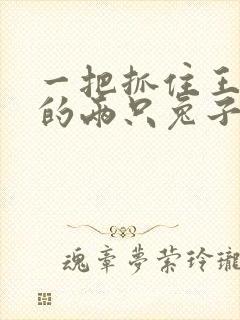 一把抓住王昭君的两只兔子