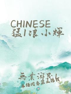 CHINESE猛1浪小辉