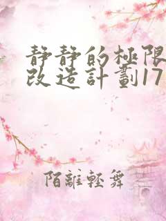 静静的极限自我改造计划17