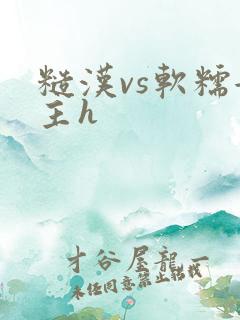 糙汉vs软糯女主h