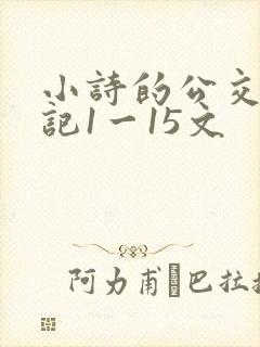 小诗的公交车日记1一15文