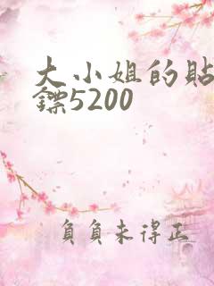 大小姐的贴身保镖5200