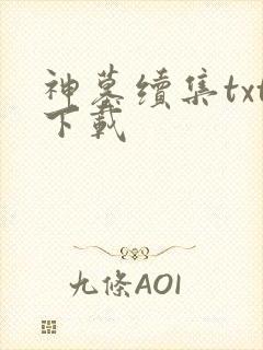 神墓续集txt下载