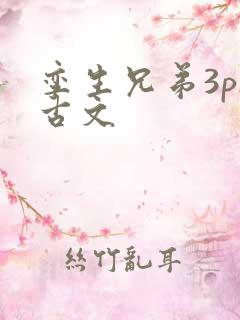 孪生兄弟3ph古文