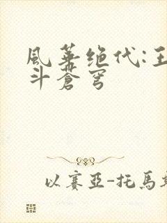 风华绝代:王妃斗苍穹