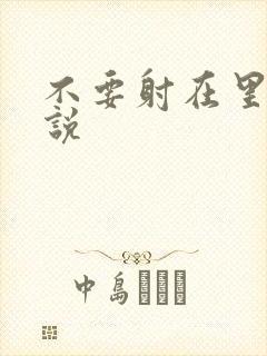 不要射在里面小说